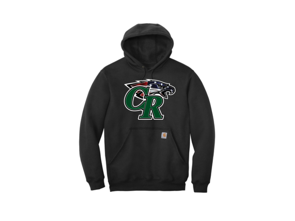 Eagles Flag Carhartt Hoodie | thINK Custom